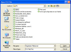 Moyea FLV Player - náhled