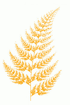Fern Screen Saver - náhled