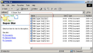 EasyWebSave - náhled