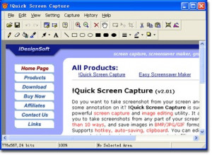 Quick Screen Capture - náhled