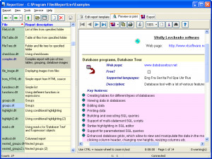 Reportizer - náhled