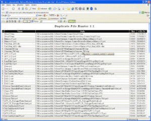 Duplicate File Hunter - náhled