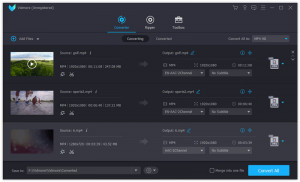 Vidmore DVD Ripper - náhled