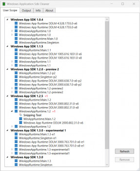 WinAppSdkCleaner - náhled