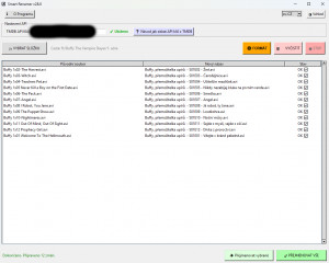 Smart Series Renamer - náhled
