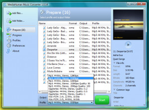 MediaHuman Music Converter - náhled
