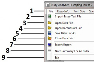 Essay Analyzer - náhled