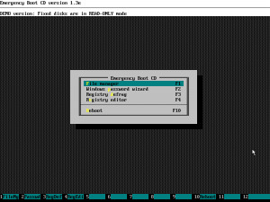 Emergency Boot CD - náhled