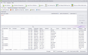 Management-Ware Data Cleansing & Matching - náhled