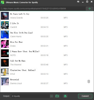 DRmare Spotify Music Downloader - náhled