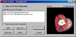 Flash Grabber - náhled