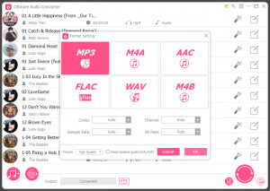 DRmare DRM Audio Converter - náhled