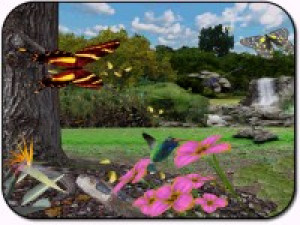 Butterflies3D - náhled