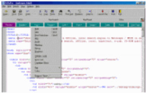 DiDaPro HTML Editor - náhled