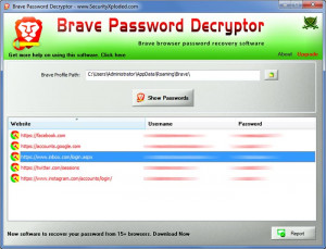 Brave Password Decryptor - náhled