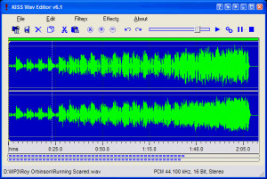 Kiss Wave Editor - náhled
