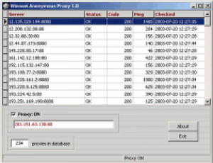 NetAdjust Anonymous Proxy - náhled