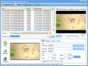FLV to Video Converter Pro - náhled