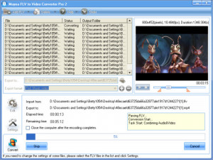FLV to Video Converter Pro - náhled
