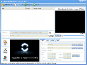 FLV to Video Converter Pro - náhled