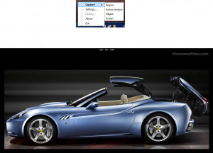 Screen Capture WPF - náhled
