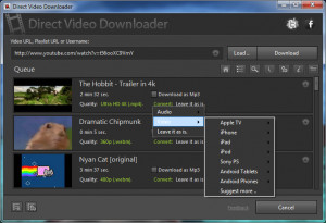 Direct Video Downloader - náhled