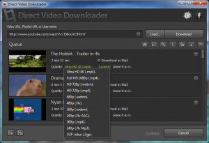 Direct Video Downloader - náhled