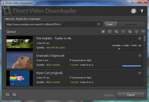 Direct Video Downloader - náhled