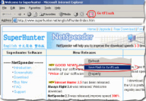 GetFlash - náhled