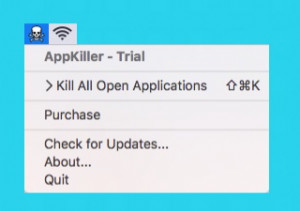 AppKiller - náhled
