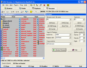 Batch Replacer for MS Word - náhled