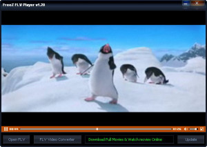 FreeZ FLV Player - náhled