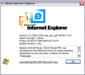 Internet Explorer 6 - náhled