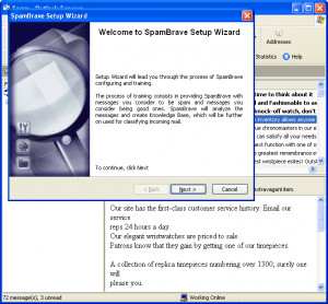 SpamBrave for Outlook Express and Windows Mail - náhled