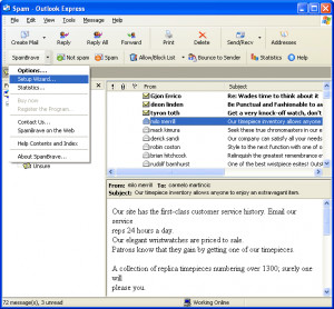 SpamBrave for Outlook Express and Windows Mail - náhled