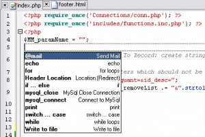 DSV PHP Editor - náhled