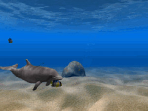 Dolphin Aqua Life 3D Scrensaver - náhled