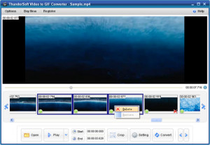 ThunderSoft Video to GIF Converter - náhled