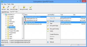 GoAnywhere OpenPGP Studio - náhled
