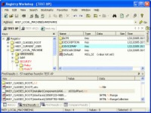 Registry Workshop - náhled
