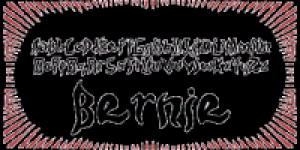 Bernie - náhled