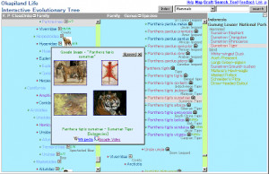 Okapiland Explorer - náhled