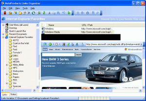 Links Organizer - náhled