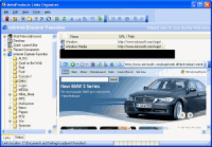 Links Organizer - náhled