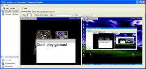Net Monitor for Employees Professional - náhled