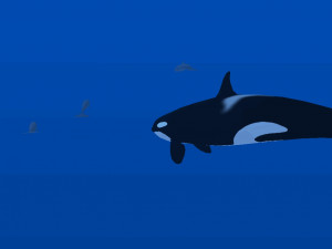 Dolphin Pod - náhled
