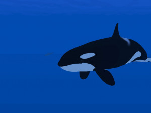 Dolphin Pod - náhled