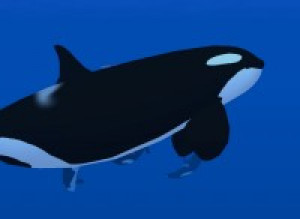 Dolphin Pod - náhled