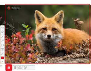 Screen Recorder Studio - náhled