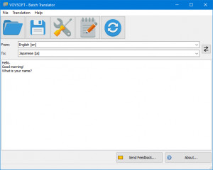 Batch Translator - náhled